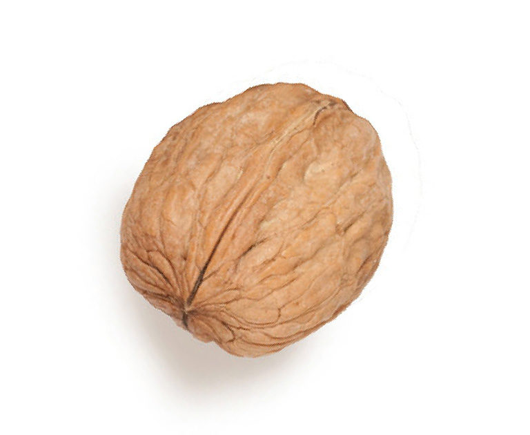 Inshell walnuts